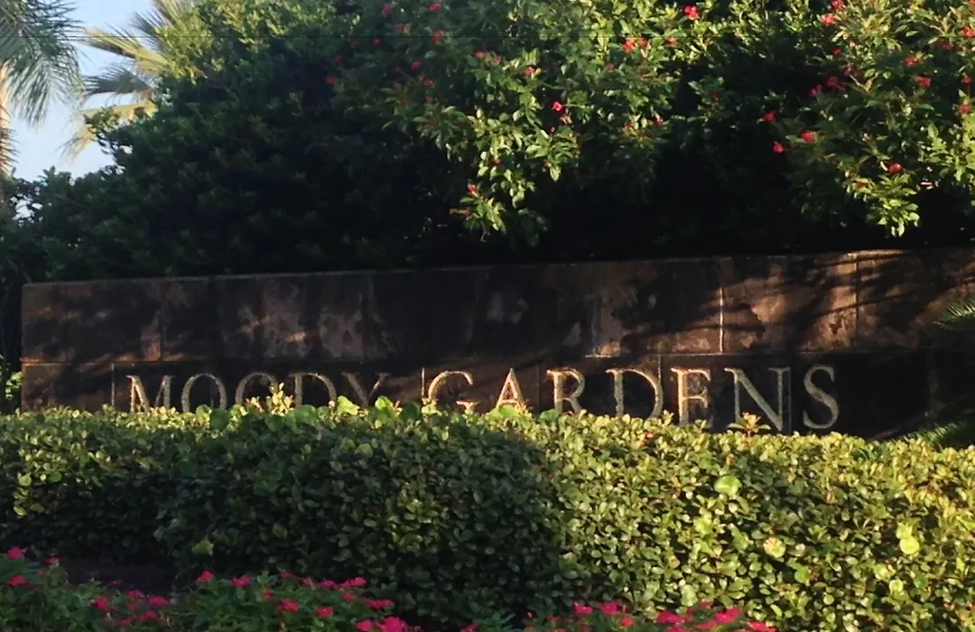 Moody Gardens Hotel Spa And Convention Center-1